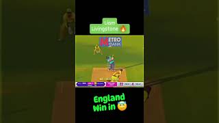 Australia vs England cricket match l timdevid trending [upl. by Muscolo323]