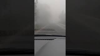 Zero visibility in mid November 2024 shorts viralvideo [upl. by Oinota965]