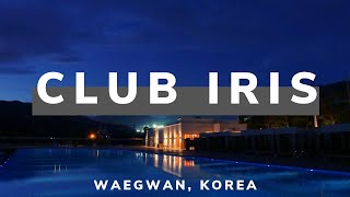 Discover Club Iris in Waegwan Korea [upl. by Netsirt214]