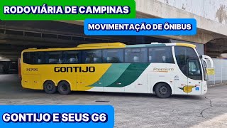 MARCOPOLO G6 DA GONTIJO MARCOU PRESENÇA  MOVIMENTO DE ÔNIBUS NA RODOVIÁRIA DE CAMPINAS  SP [upl. by Jacquette]