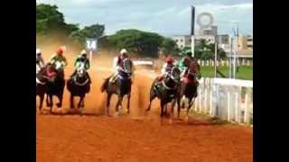 CORRIDAS DE CAVALO quotO GRANDE CAMPEÃOquot [upl. by Sherm304]