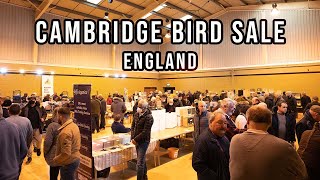 Cambridge Bird Sale  England  November 2021 [upl. by Ximena56]