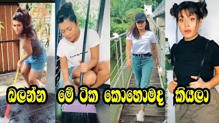 SL Tik Tok  harshane අක්කාගේ හොදම ටික ❤️ sltiktok tiktok 2020tiktok [upl. by Cecelia]