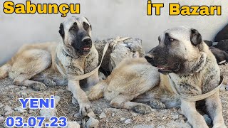 Sabunçu İT Bazarı 2 iyul 2023 mubarizemintv2271 [upl. by Dinnie]