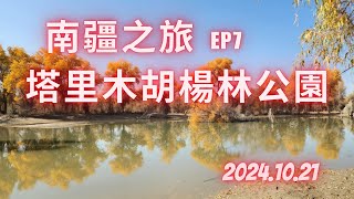 南疆之旅 EP7  塔里木胡楊林公園！ [upl. by Arok]