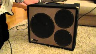 Vintage Polytone 102 Electric Guitar Amp Demo [upl. by Cookie363]