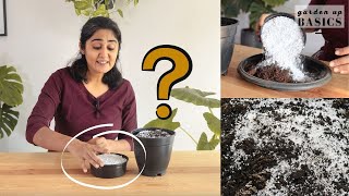 Why and how to use Perlite in soil mix  Ep 10 Garden Up Basics [upl. by Astrea351]