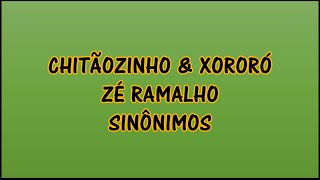 Chitãozinho amp Xororó Zé Ramalho  Sinônimos Lyrics  Letra en Portugués  Traducida al Español [upl. by Etterrag]