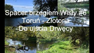 Spacer brzegiem Wisły 6 Toruń  ZłotoriaUjście Drwęcy [upl. by Wehtta478]