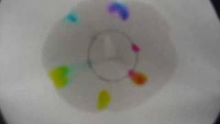 Chromatography Highlighter in Water [upl. by Yursa961]