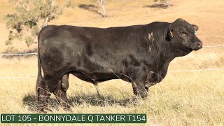 Lot105 Bonnydale Q T154 [upl. by Nonad]