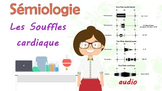 sémiologie  les souffles cardiaque  cours de 3 éme année médecine [upl. by Nnaira448]