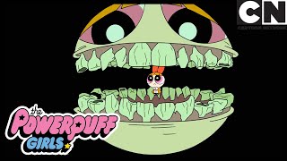 Somethings Happening To Blossom  Powerpuff Girls  Cartoon Network [upl. by Golter186]