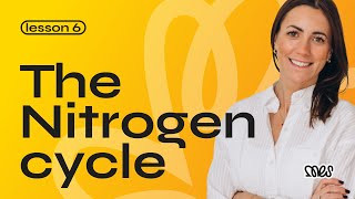 The Nitrogen Cycle  Lesson 6  Year 13  Free Stream [upl. by Swamy]