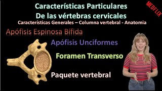 🦴 Características particulares de las vertebras cervicales  Columna Vertebral  Anatomía [upl. by Abad]