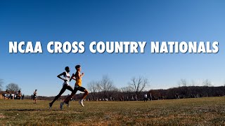 NCAA Cross Country Nationals 2023 cinematic [upl. by Gilson]