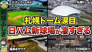 【衝撃】ファイターズ移転で札幌ドームが変わった驚きの真相！【ゆっくり解説】 [upl. by September]