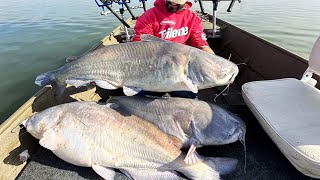 The MOST INSANE CATFISHING of my LIFE 200 lbs [upl. by Llednol]