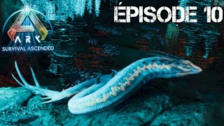 le taming du basilisk sur aberration  épisode 10 [upl. by Ardnusal]