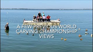 Previous Ward World Championship Views [upl. by Ecnar]