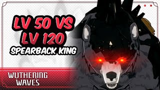 LV 50 vs LV 120 SPEARBACK KING  Wuthering Waves CBT2 [upl. by Refenej581]