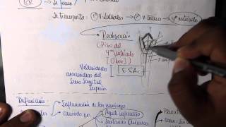 MENINGITIS EN PEDIATRÍA Y NEONATOLOGÍA PARTE 1 [upl. by Adnaram]