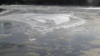 Picturesque winter ice flows on Scioto and Olentangy rivers [upl. by Kazue]