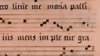 O sacrum convivium Gregorian Chant Chant Group Psallentes [upl. by Ash]