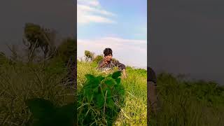 matala upar matlu viralshorts shorts instagram reels love song [upl. by Abihsat]