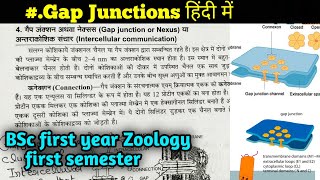 Gap junction in Hindi  Cellcell interaction  BSc first year zoology first Semester [upl. by Emolas200]