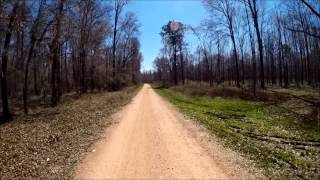 FOR SALE PORTLAND LANDING DALLAS COUNTY AL 449 ACRES [upl. by Heiskell]