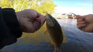 Trempealeau Fishing Float Crappie Walleye [upl. by Netniuq2]