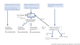 Stable CAD Revascularization concepts  Diagnostic strategy Elias Hanna [upl. by Swanhilda754]