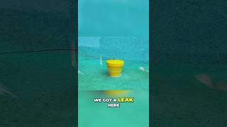 Gunite Pool LEAK Detection Expert Shares Top Inspection Tips leakdetection swimmingpool shorts [upl. by Win576]