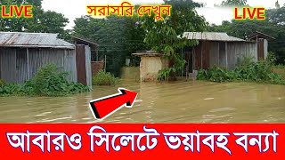 সিলেট বন্যার সর্বশেষ খবর। Sylhet bonna News 2024  Sylhet bonna live  Reporter Shujon [upl. by Aneeras]