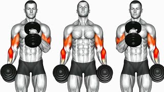 8 Huge biceps exercises  fastest [upl. by Rovelli]