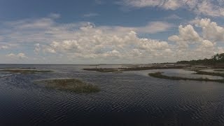 The True Value of a Salt Marsh In the Grass On the Reef [upl. by Enohpets]