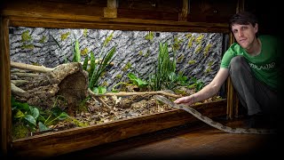 Live Planted Bioactive Kingsnake Vivarium [upl. by Marashio862]