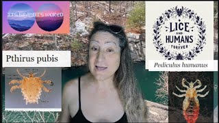 Down a Rabbit Hole of Human Evolution  The Lice Episode with Brandi Beckett [upl. by Hadwin994]