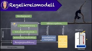 Regelkreismodell [upl. by Lennahs]