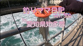 釣りママ日記vol300愛知県知多郡 [upl. by Eslehc289]