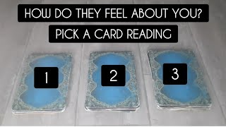 How do they feel about you  Pick a card reading [upl. by Valencia]