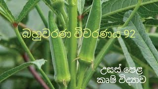 MCQ 92  Agricultural Science for Advance Level Examination Sinhala medium [upl. by Belter821]