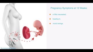 12 Weeks Pregnant Symptoms [upl. by Assirak690]