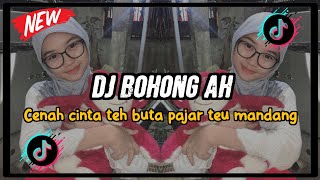 DJ BOHONG AH  REMIX BOOTLEG RAKA PUTRA SUNDA PRIDE [upl. by Martin938]