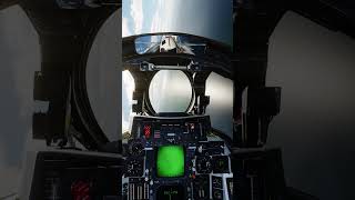 F14 Tomcat sits inside your turn circle DCS [upl. by Semadar]