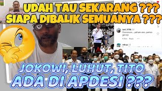 SIAPA DIBALIK MASKOTA KETUA APDESI PELAPOR SAID DIDU  JOKOWI LUHUT TITO ADA DI APDESI [upl. by Welbie]