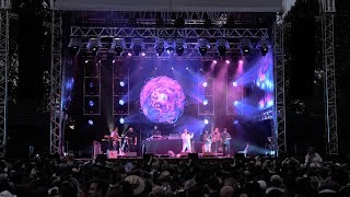 Fat Freddys Drop Trickle Down Live at Hagley Park 2019 [upl. by Jacobba99]