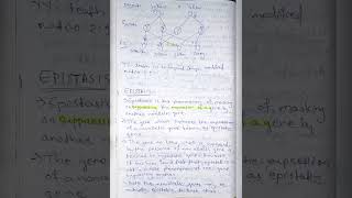 Lethal alleles and Epistasis epistasis bsczoology biology zoologynotes notes [upl. by Charlet]