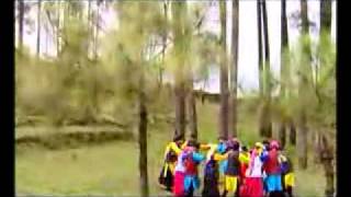 Narendra Singh Negi Song  Folk song  Garhwali Songs [upl. by Launcelot]